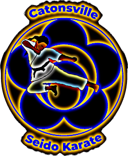 Seido Karate: Serious Martial Arts Training