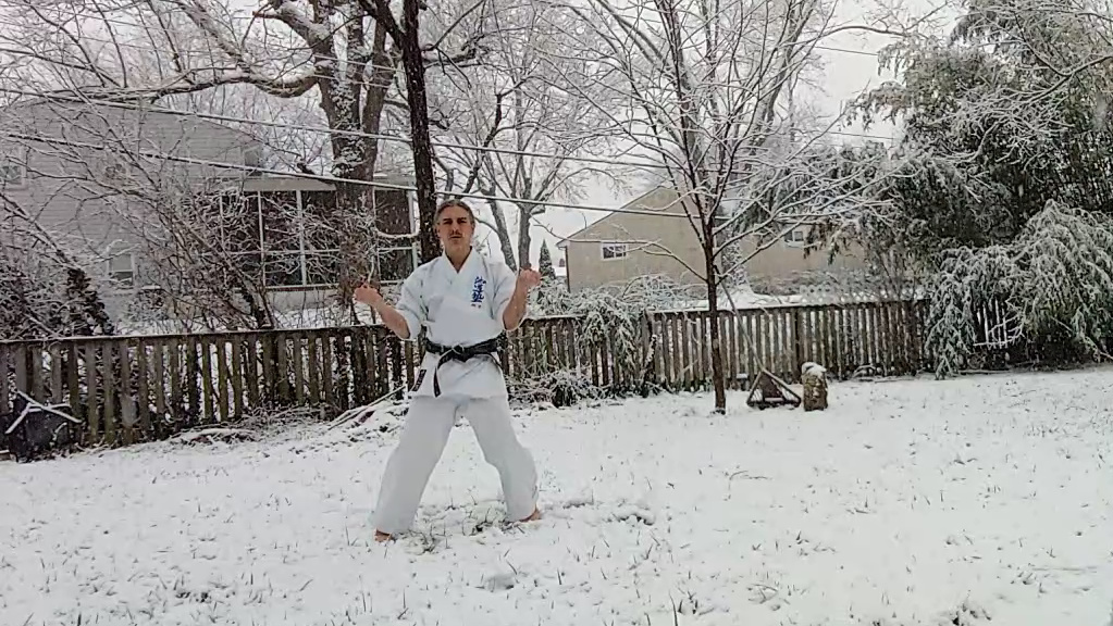 Seido Karate training sanchin kata in snow for toughness